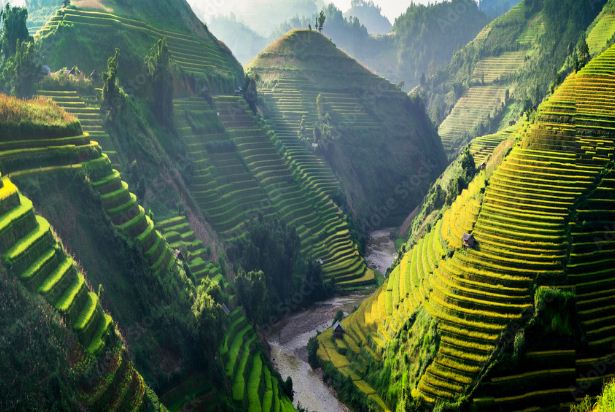 Sapa-terraces-rice-paddies-fields-vietnam-2